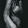 Anatomia  - Gesso dipinto - cm 70x50x35