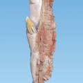 Una Donna, terracotta dipinta, cm,123x120x70