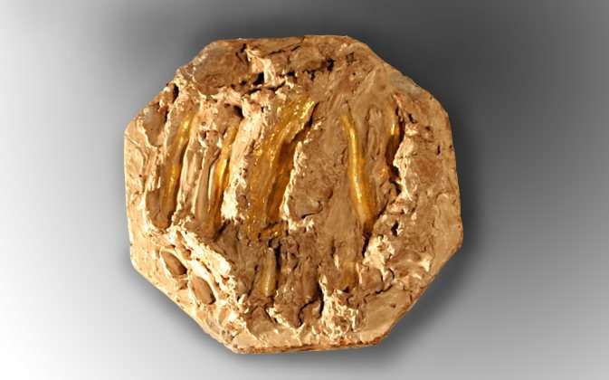 Ottagono - Terracotta e ceramica con inclusione di foglia d'oro - cm 47x47
