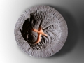 La sorte - Terracotta - diametro cm  40